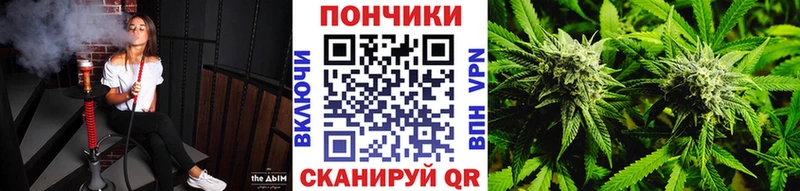 Бошки Шишки гибрид  гидра вход  Дубна  купить наркоту 