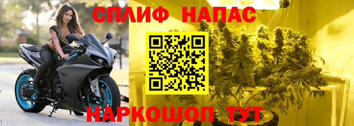 МАРИХУАНА White Widow  Вход с VPN  Дубна  Бошки Шишки VHQ  Марихуана White Widow  Марихуана план 